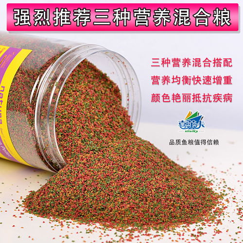 小型熱帶魚飼料的選擇與喂養(yǎng)指南